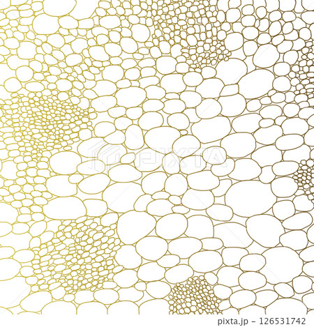 茎の細胞_金線_正方形 茎の細胞_金線_正方形 126531742