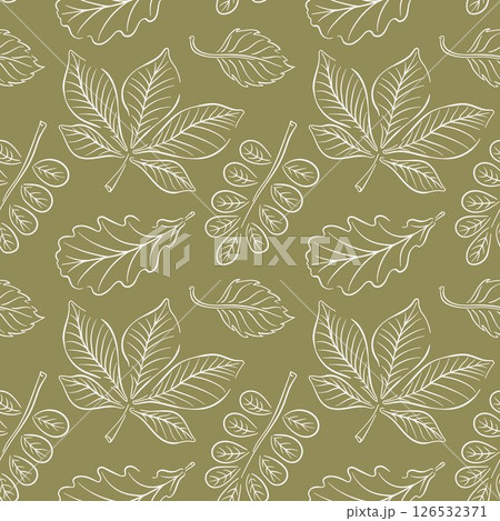 Autumn forest leaves seamless pattern in line art style on green background. Chestnut, acacia, oak, birch background design for fabric, wallpaper, wrapping paper and fall decoration project. 126532371