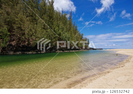 カウアイ島 ルマハイ・ビーチ カウアイ島 ルマハイ・ビーチ 126532742