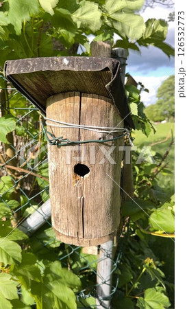 Birdhouse is hanging from a fence 126532773
