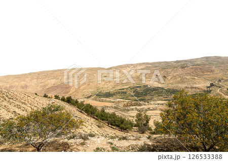 Typical mountain landscape, Jordan, Middle East  (photography from a high point). Carved on white background 126533388
