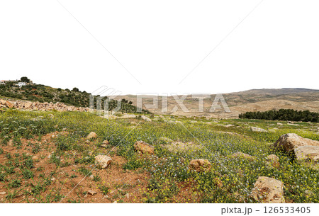 Typical mountain landscape, Jordan, Middle East (photography from a high point). Carved on white background Typical mountain landscape, Jordan, Middle East (photography from a high point). Carved on white background 126533405