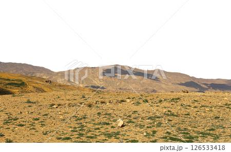 Typical mountain landscape, Jordan, Middle East  (photography from a high point). Carved on white background 126533418