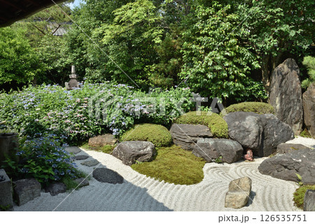 大徳寺塔頭　霊源院庭園　鶴鳴九皐(京都市東山区) 126535751