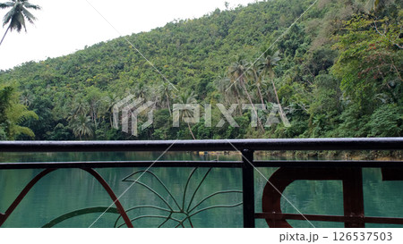 A tranquil boat journey through lush jungle river offers a peaceful nature experience  126537503