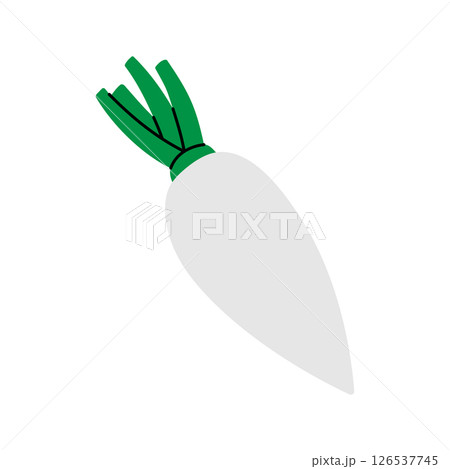 Radish. Fresh organic vegetable. Vector illustration 126537745