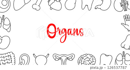 Human organs horizontal outline banner. Internal organs anatomy. Heart, kidneys, gallbladder, tooth, brain, eye, hand, nose, bone, ear, bladder 126537787
