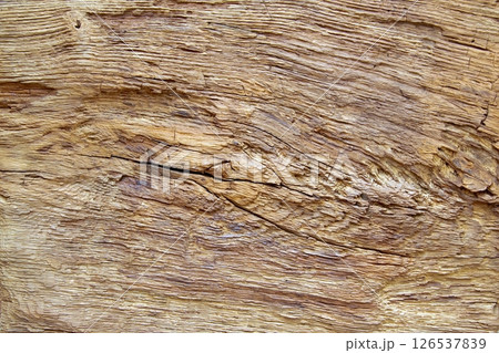 Weathered Wood Texture Aged Timber Surface Cracks Weathered Wood Texture Aged Timber Surface Cracks 126537839