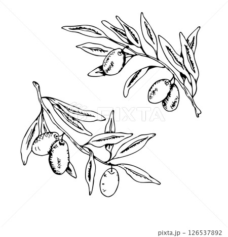 Sacred communion elements with olive branches for religious ceremony design. Graphic art. For baptism, wedding invitation, greeting card. Two olive barnches, black outlines, whiite background 126537892