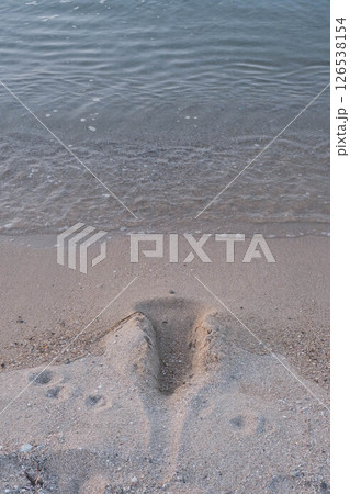 [せんなん里海公園]美しい砂浜 126538154