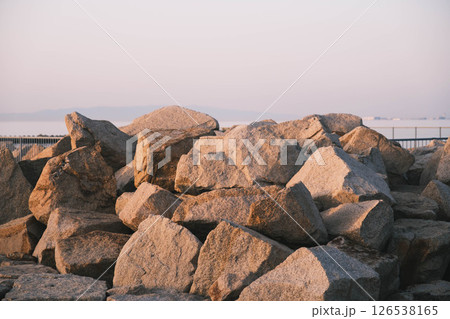 [せんなん里海公園]夕暮れ時の風景 126538165