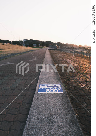 [せんなん里海公園]夕暮れ時の風景 126538166