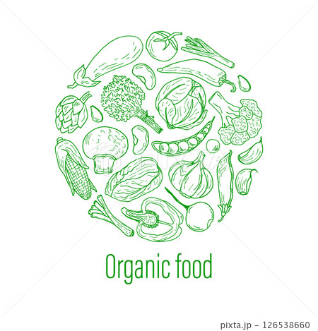 Organic food in the doodle style, a round composition of a set of vegetables. Collage of fresh farm vegetables. Environmentally friendly products. A logo, badge, or logo for packaging products. Organic food in the doodle style, a round composition of a set of vegetables. Collage of fresh farm vegetables. Environmentally friendly products. A logo, badge, or logo for packaging products. 126538660