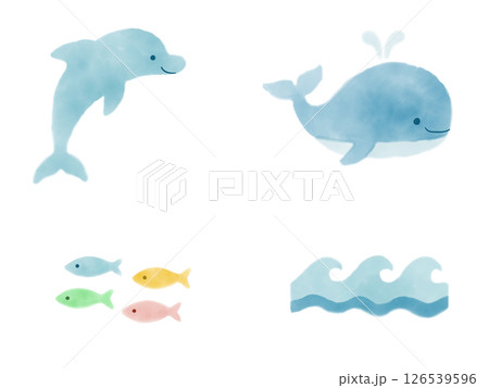 イルカ　クジラ　海のイラストセット 126539596
