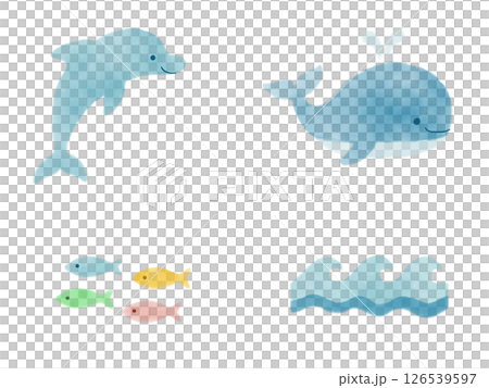 イルカ　クジラ　海のイラストセット 126539597