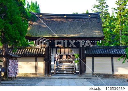 多賀大社（志賀県） 126539689