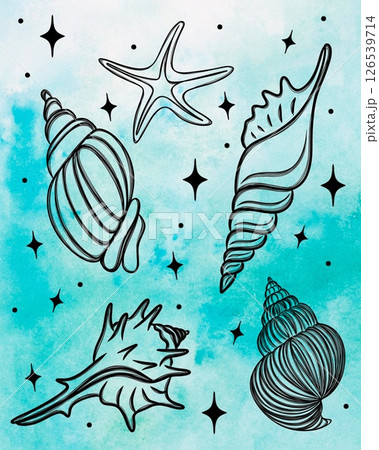 seashell outline illustration. Seashells set on a watercolor background. Hand drawn illustrations. Collection of realistic sketches various mollusk sea shells seashell outline illustration. Seashells set on a watercolor background. Hand drawn illustrations. Collection of realistic sketches various mollusk sea shells 126539714
