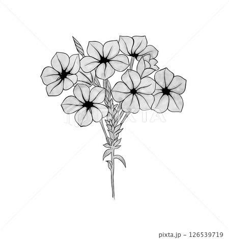 detailed sketch of bouquet of flowers hydrangea. Hand-drawn. design greeting card and invitation of the wedding, birthday, Valentine's Day, mother's day and other holiday detailed sketch of bouquet of flowers hydrangea. Hand-drawn. design greeting card and invitation of the wedding, birthday, Valentine's Day, mother's day and other holiday 126539719