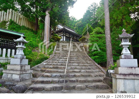胡宮神社（滋賀県） 126539912