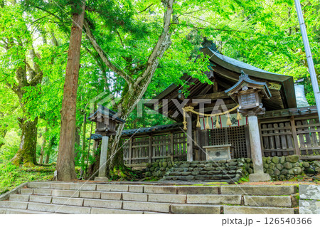 初夏の諏訪大社 上社 前宮　長野県茅野市 126540366