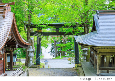 初夏の諏訪大社 上社 前宮　長野県茅野市 126540367