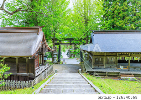 初夏の諏訪大社 上社 前宮 長野県茅野市 初夏の諏訪大社 上社 前宮 長野県茅野市 126540369