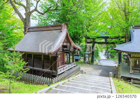 初夏の諏訪大社 上社 前宮 長野県茅野市 初夏の諏訪大社 上社 前宮 長野県茅野市 126540370