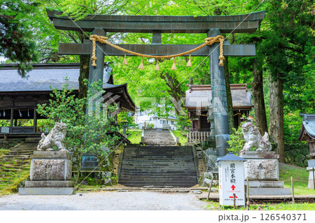 初夏の諏訪大社 上社 前宮　長野県茅野市 126540371