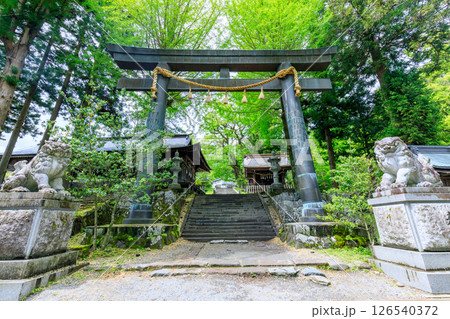 初夏の諏訪大社 上社 前宮 長野県茅野市 初夏の諏訪大社 上社 前宮 長野県茅野市 126540372