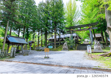 初夏の諏訪大社 上社 前宮　長野県茅野市 126540374