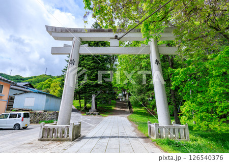 初夏の諏訪大社 上社 前宮 長野県茅野市 初夏の諏訪大社 上社 前宮 長野県茅野市 126540376