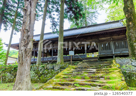 初夏の諏訪大社 上社 前宮 長野県茅野市 初夏の諏訪大社 上社 前宮 長野県茅野市 126540377