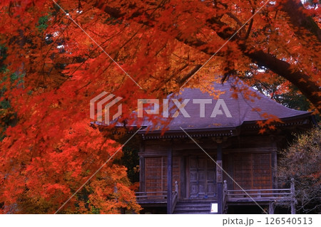 世界遺産 岩手県平泉町 紅葉の中尊寺 世界遺産 岩手県平泉町 紅葉の中尊寺 126540513