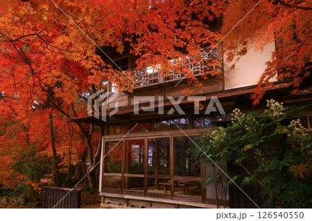 岩手県　紅葉の風景 126540550