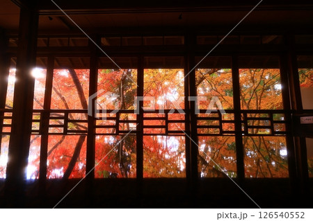 岩手県　紅葉の風景 126540552
