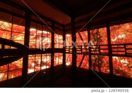 岩手県 紅葉の風景 岩手県 紅葉の風景 126540556