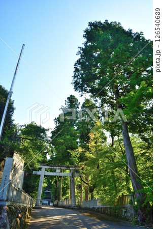 大瀧神社(滋賀県) 大瀧神社(滋賀県) 126540689