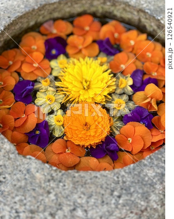 花のデザイン 花のデザイン 126540921