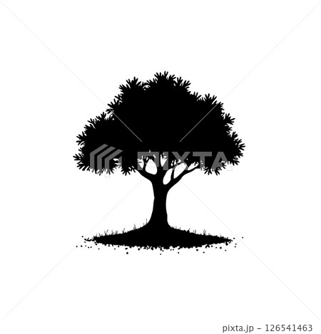 A solitary tree silhouette against a stark white backdrop evokes quiet strength A solitary tree silhouette against a stark white backdrop evokes quiet strength 126541463