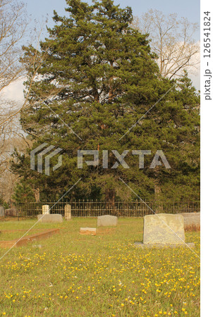 Historic Old North Church Cemetery in Nacogdoches TX Historic Old North Church Cemetery in Nacogdoches TX 126541824