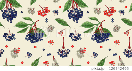 Viburnum Rowan Berry Leaf Floral Element Seamless Vector Pattern With Ukrainian Ethnic Botanical Style On Beige Viburnum Rowan Berry Leaf Floral Element Seamless Vector Pattern With Ukrainian Ethnic Botanical Style On Beige 126542496