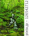 奥入瀬渓谷の新緑と湧水 126542712
