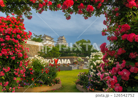 薔薇に覆われた美しい城 126542752