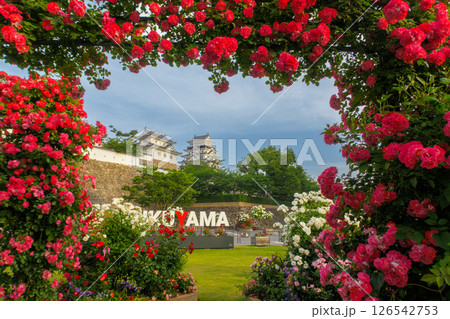 薔薇に覆われた美しい城 126542753