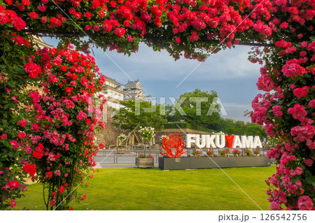 花のある風景 126542756