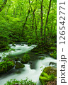 奥入瀬渓流阿修羅の流れと新緑 126542771