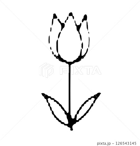 Monochrome tulip illustration with delicate details and intricate design 126543145