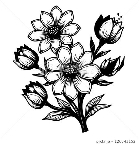 Elegant floral design featuring blooming flowers in black and white illustration 126543152