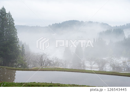 【蒲生の棚田】雲海に包まれるの早朝の棚田 126543445
