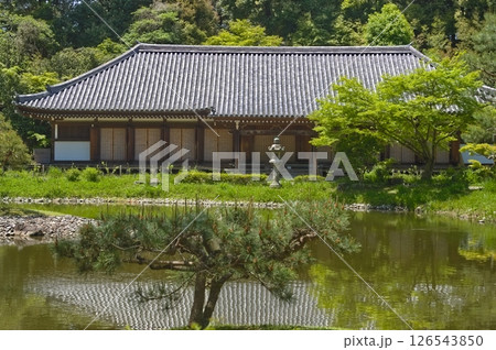 浄瑠璃寺の庭園と本堂 126543850